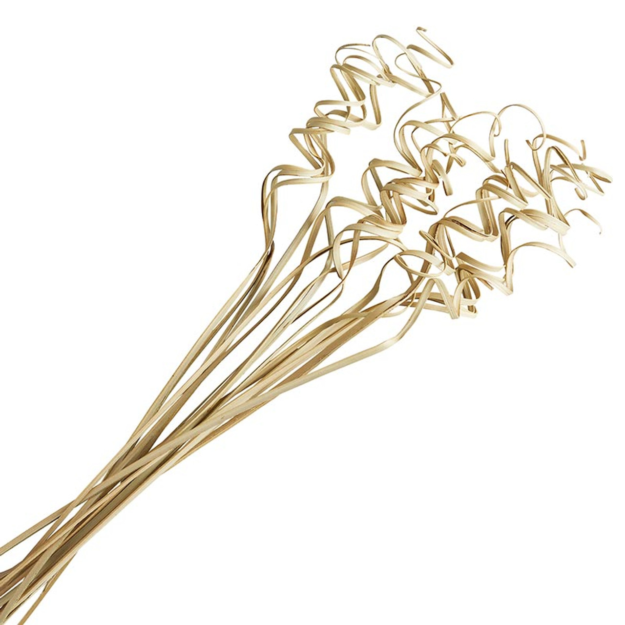 PALM TING TING CURLY